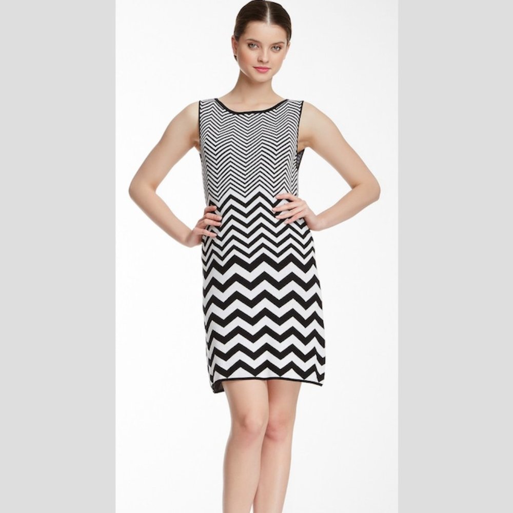 Alice & Olivia Vix Chevron A-Line Dress